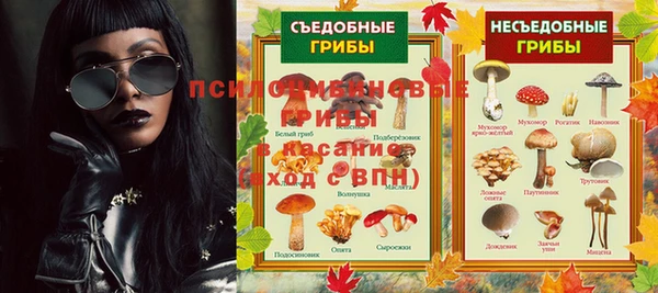 тгк Алзамай