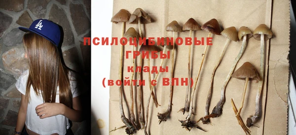 твердый Абинск